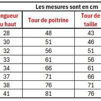 Lehenga Fille collection "Vineshka" Rouge