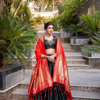 Lehenga collection "Mirudha" - Noir