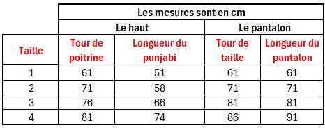 Punjabi Fille collection "Jaya"
